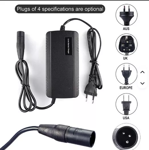 Battery 48V 13A Hailong